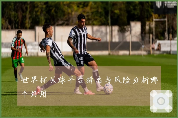 世界杯买球平台排名与风险分析哪个好用
