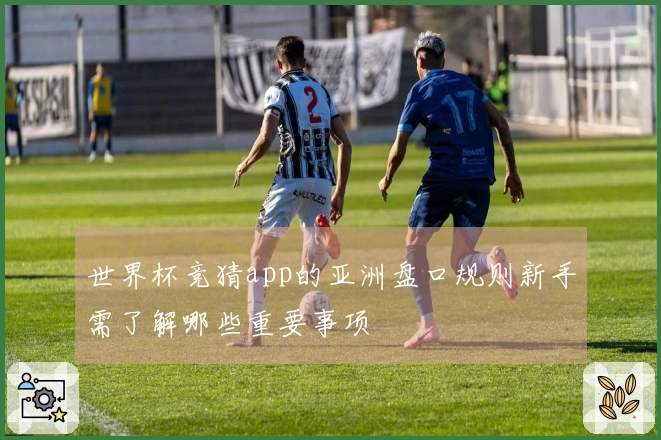 世界杯竞猜app的亚洲盘口规则新手需了解哪些重要事项