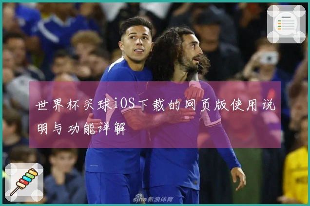 世界杯买球iOS下载的网页版使用说明与功能详解