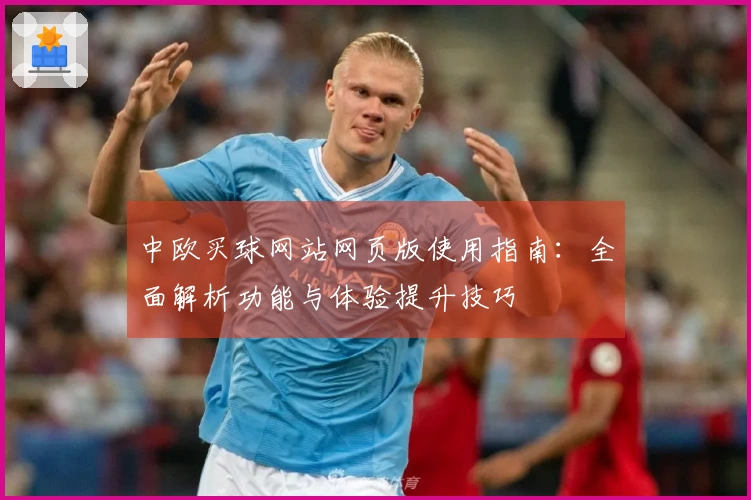 中欧买球网站网页版使用指南：全面解析功能与体验提升技巧