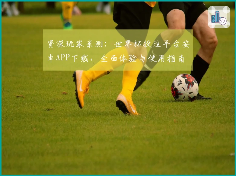 资深玩家亲测：世界杯投注平台安卓APP下载，全面体验与使用指南