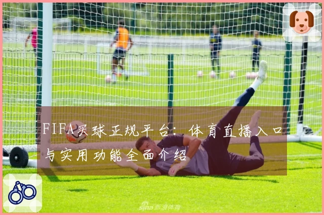 FIFA买球正规平台：体育直播入口与实用功能全面介绍