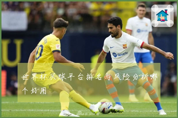 世界杯买球平台排名与风险分析哪个好用