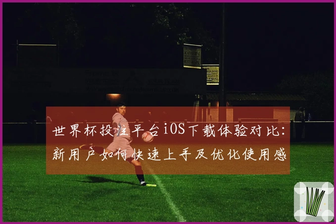 世界杯投注平台iOS下载体验对比：新用户如何快速上手及优化使用感受
