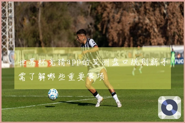 世界杯竞猜app的亚洲盘口规则新手需了解哪些重要事项