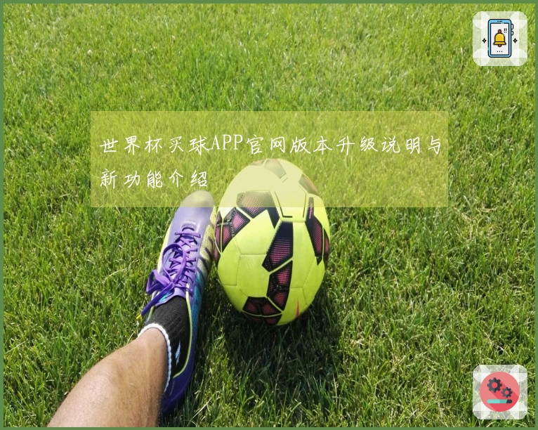 世界杯买球APP官网版本升级说明与新功能介绍