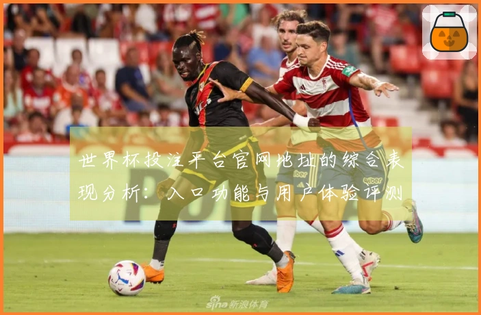 世界杯投注平台官网地址的综合表现分析：入口功能与用户体验评测