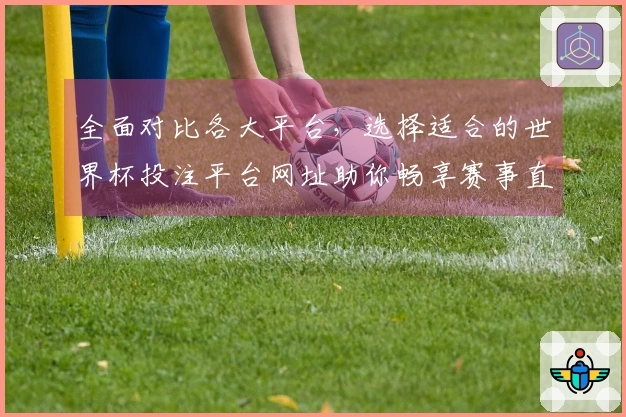 全面对比各大平台，选择适合的世界杯投注平台网址助你畅享赛事直播体验