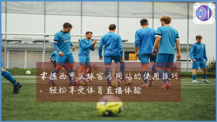掌握西甲买球官方网站的使用技巧，轻松享受体育直播体验