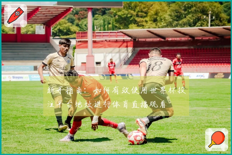 新手指南：如何有效使用世界杯投注平台地址进行体育直播观看
