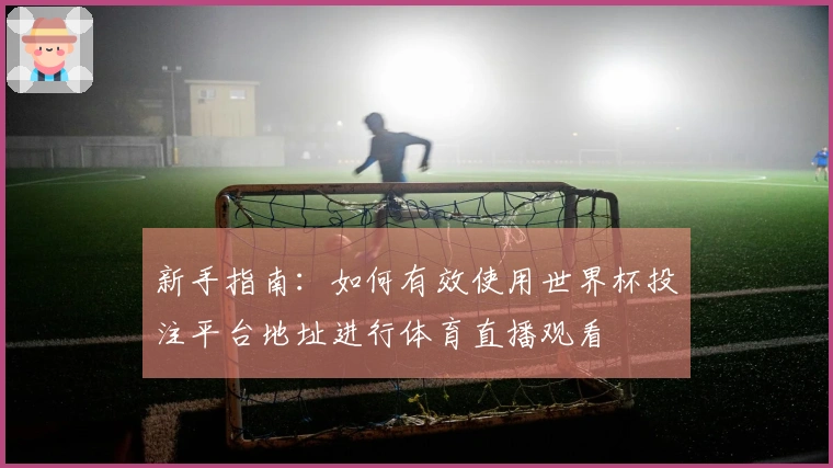 新手指南：如何有效使用世界杯投注平台地址进行体育直播观看