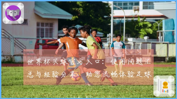 世界杯买球官方入口：使用问题汇总与经验分享，助您流畅体验足球赛事